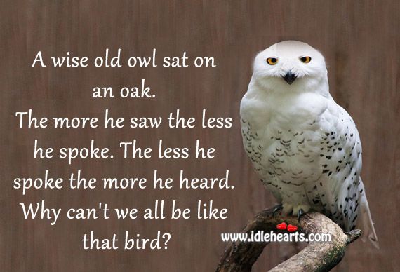  photo a-wise-old-owl-sat-on-an-oak-life-quote_zpsnurozwk0.jpg