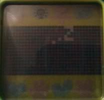 Posted Image