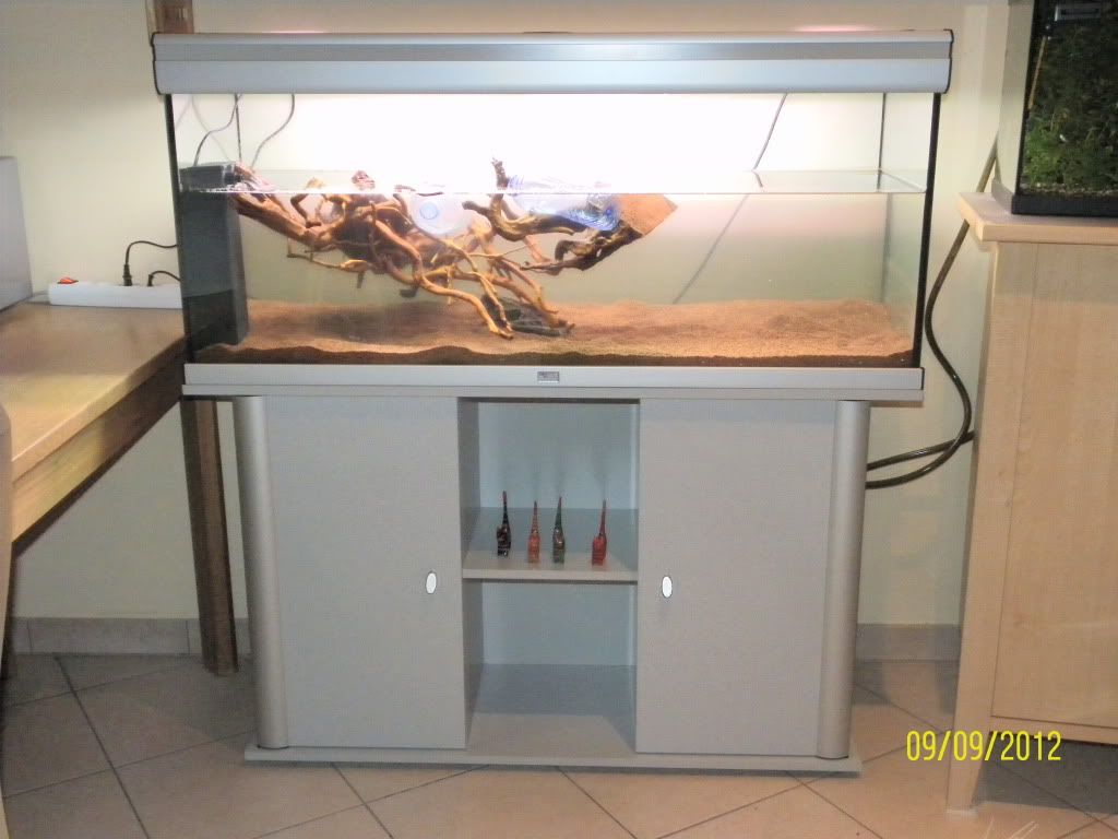 http://i1064.photobucket.com/albums/u363/andyrapster/aquattopia/SAM_5996.jpg