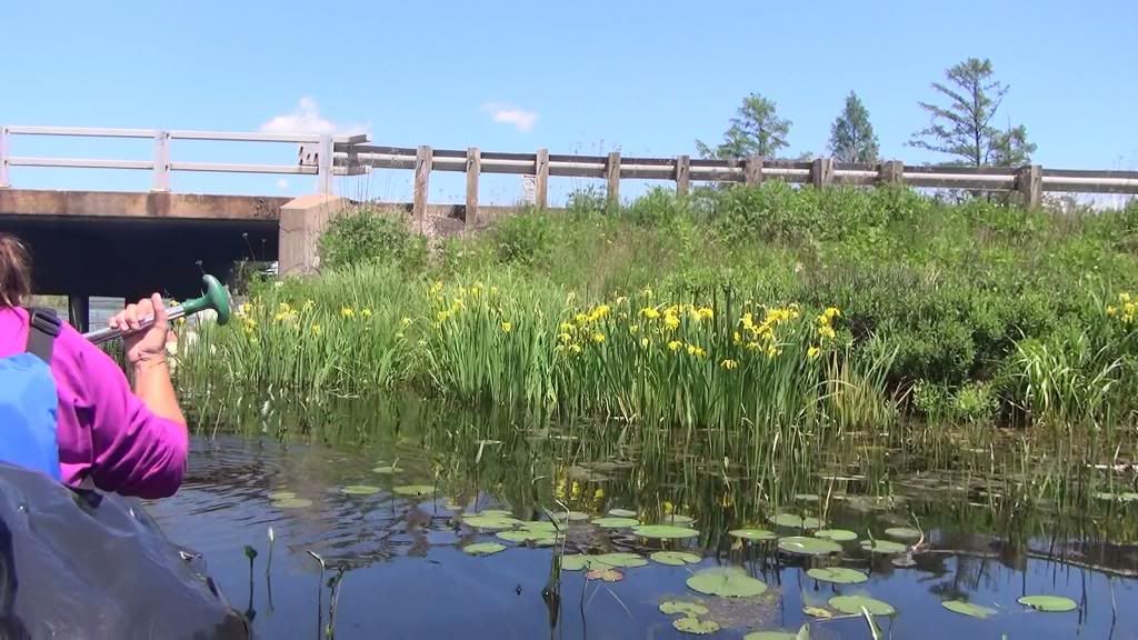  photo 201306191318211.jpg