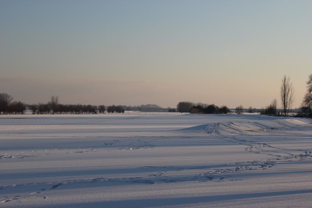 IMG_0590.jpg