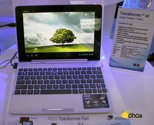 asus-transformer-pad-1.jpg