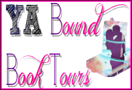 YA Bound Book Tours