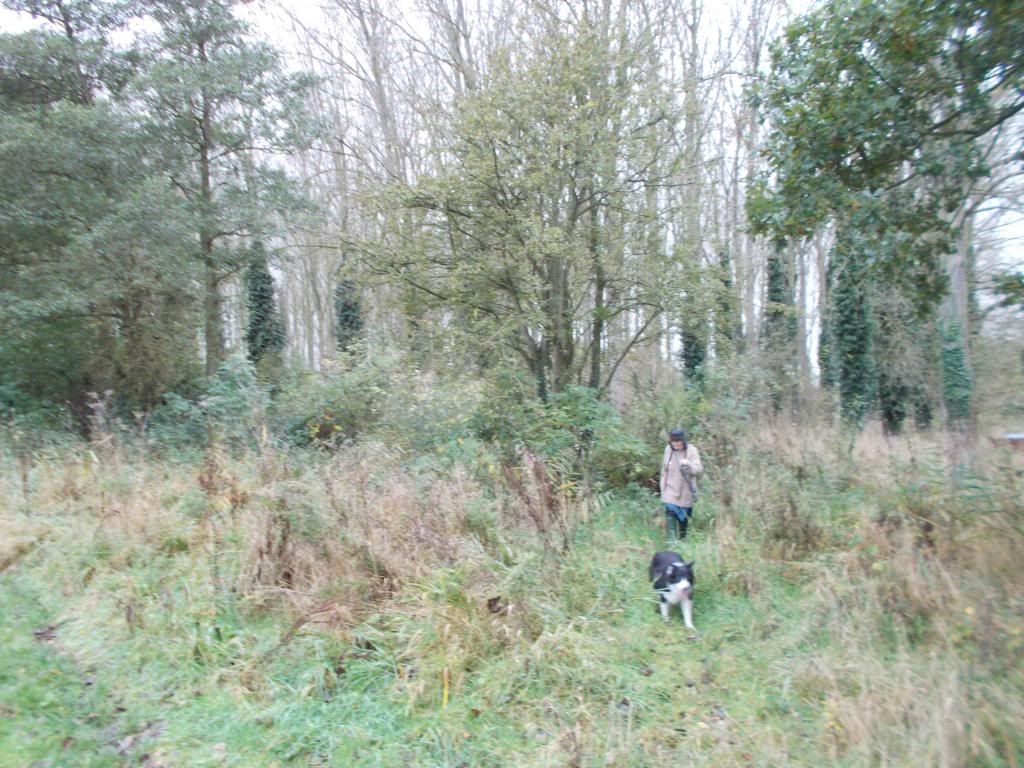  photo Picture310_zpsc2459849.jpg