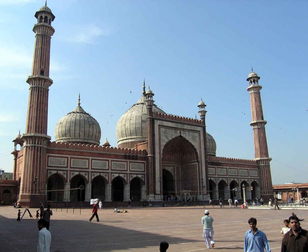 Satori World Medical--visiting mosque in India--image credit:http://en.wikipedia.org