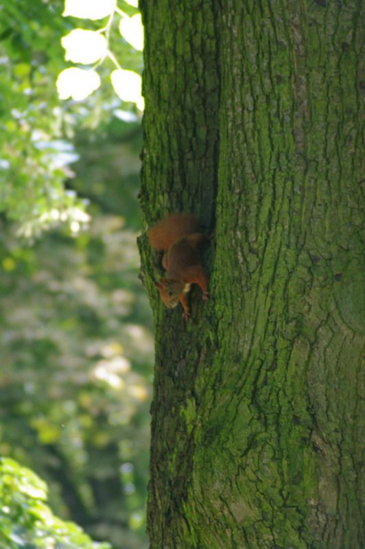 Первый трип по Европе