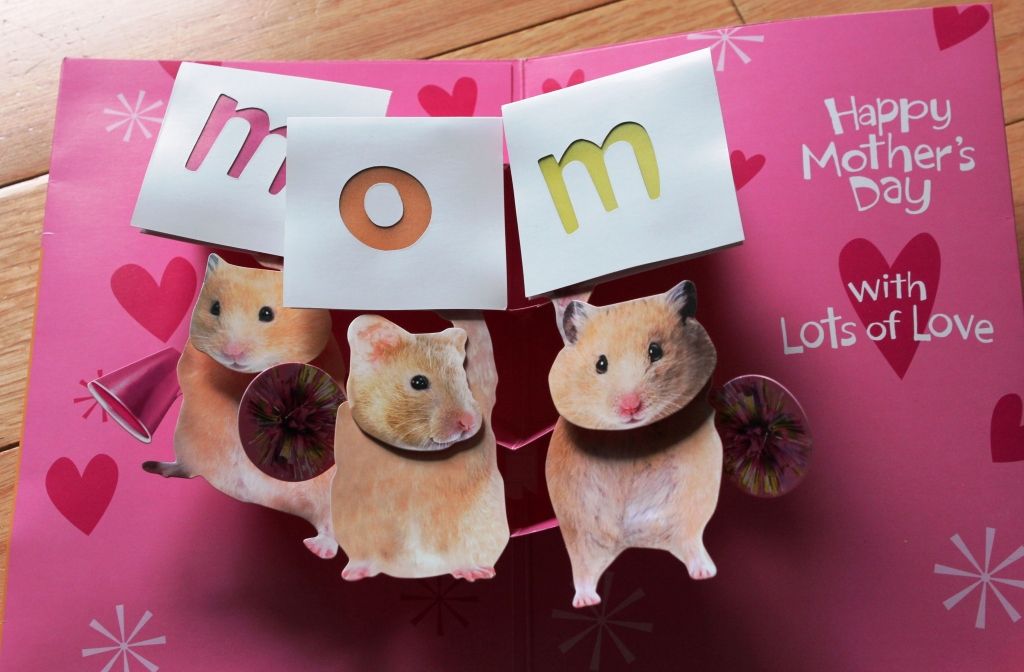 Hamster mothers day card