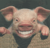 porker-avatar.gif