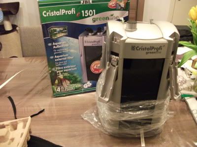 http://i1064.photobucket.com/albums/u375/knorrie1/600L/DSCF1401.jpg