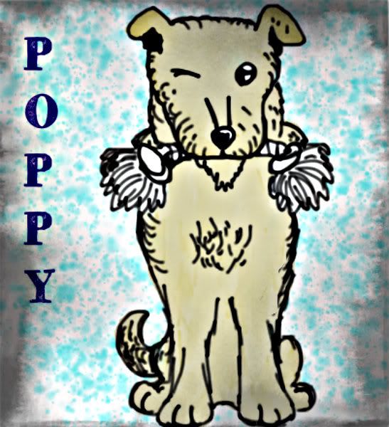 poppy2.jpg