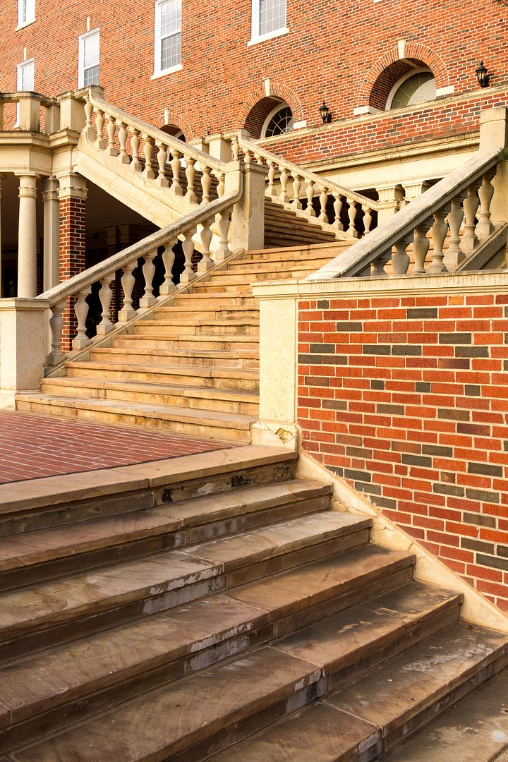 IMAGE: http://i1064.photobucket.com/albums/u376/DavidCov/OSU%20August%2023%202016/IMG_2333_zpsdzwbkiqw.jpg