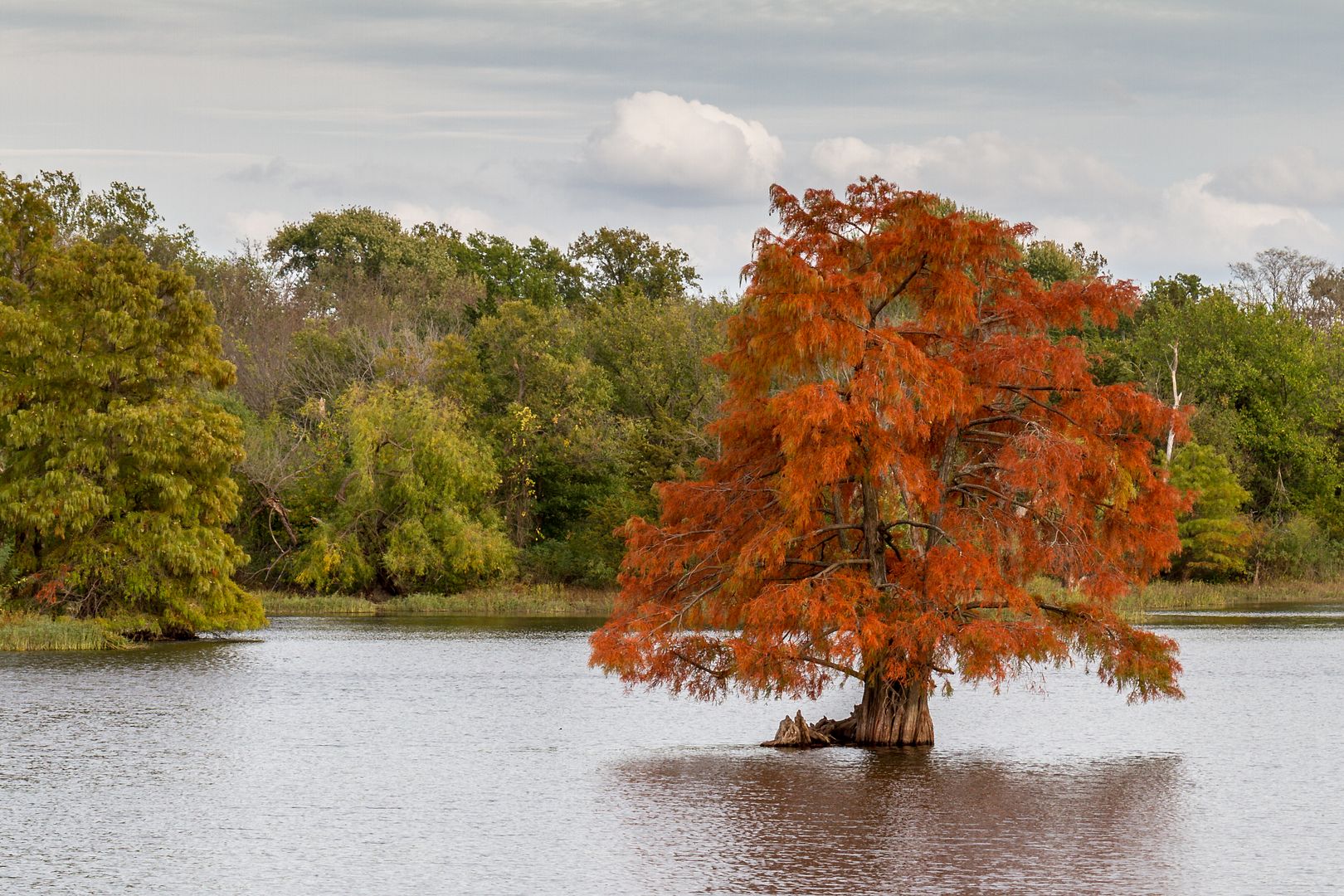 IMAGE: http://i1064.photobucket.com/albums/u376/DavidCov/October%2025%202016/IMG_4693_zpskzagkydw.jpg