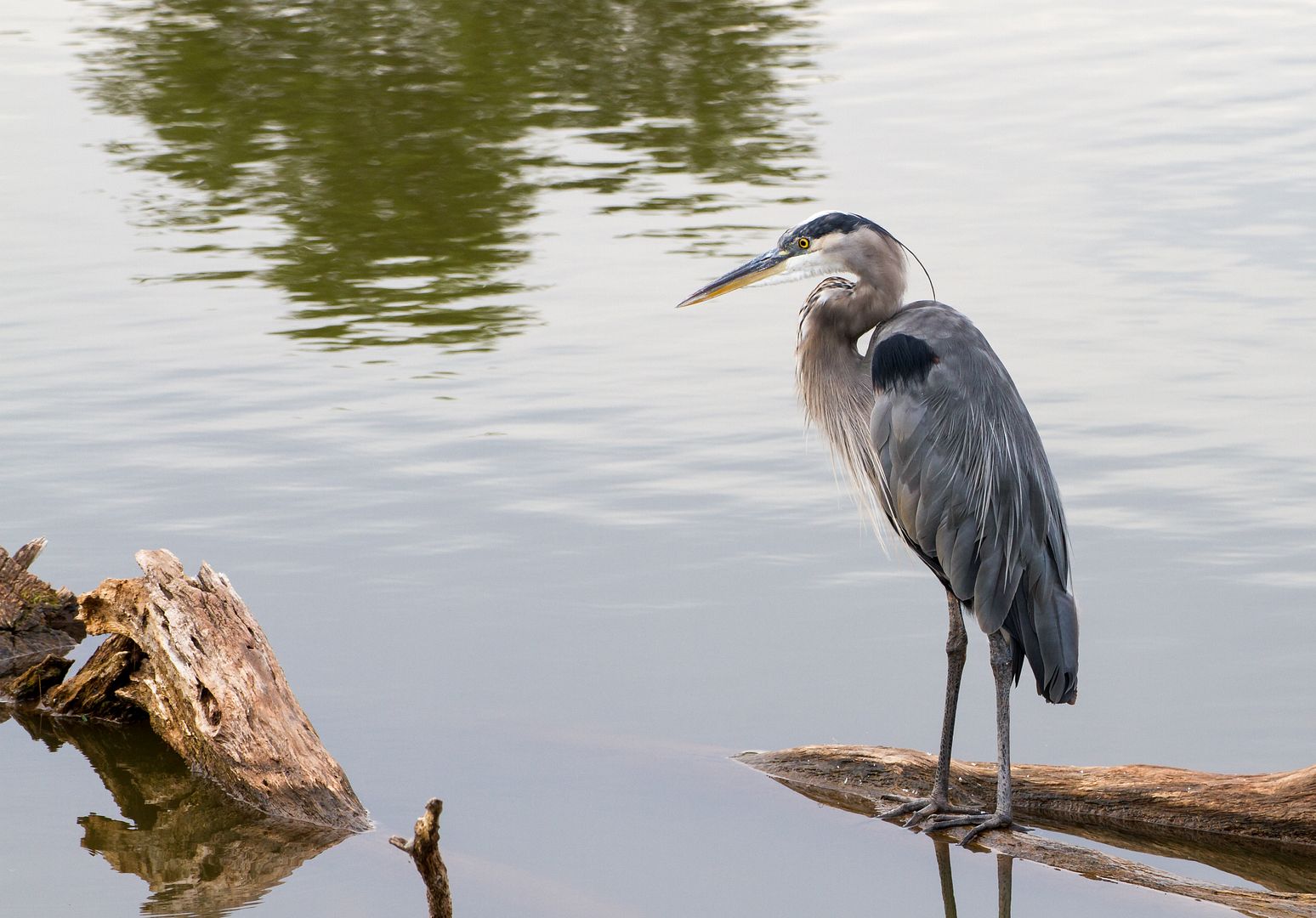 IMAGE: http://i1064.photobucket.com/albums/u376/DavidCov/September%2013%202016/IMG_3224_zpscwmkyqcx.jpg