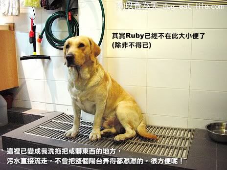 Ruby's toilet