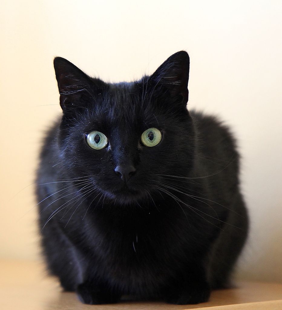 IMAGE: http://i1064.photobucket.com/albums/u378/Meizena/IMG_0516as_zpsyhl6s7up.jpg