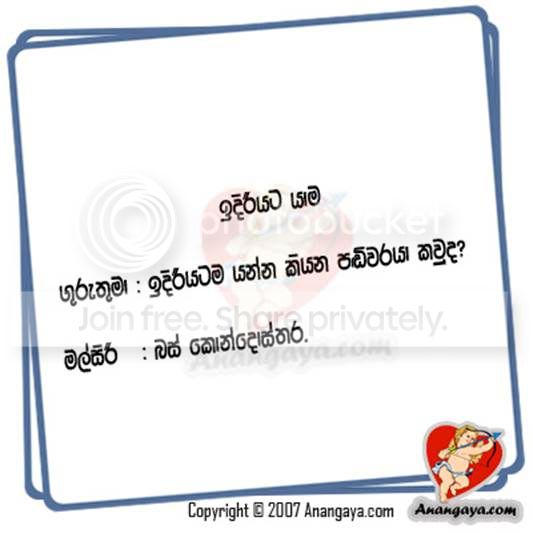 47610472.jpg