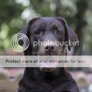 Photobucket - Video and Image Hosting