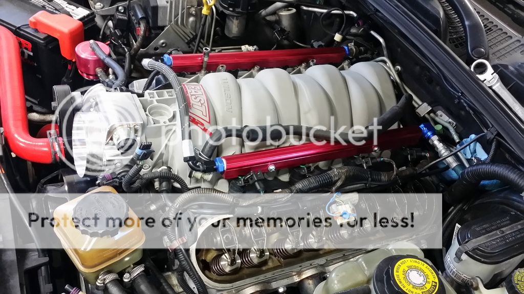 Hairy black matire woman